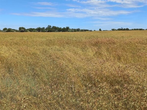 1 783 ha Farm