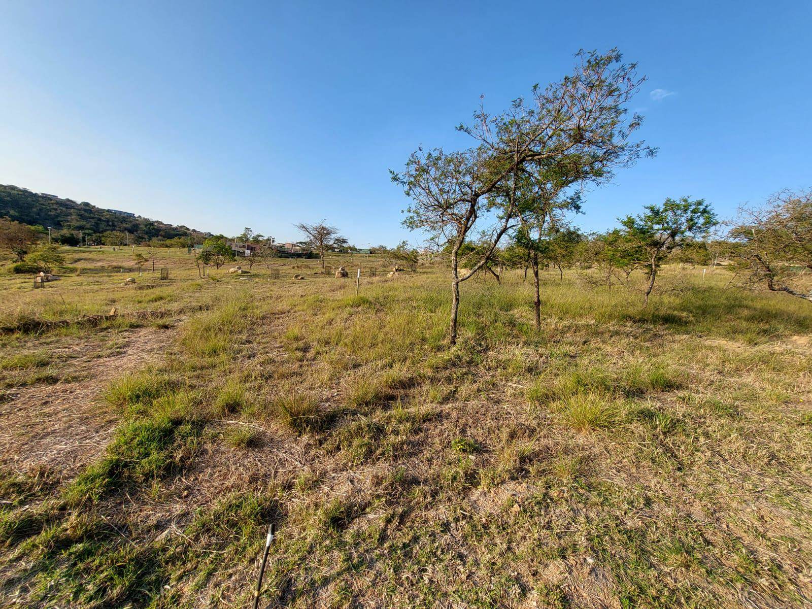1190 m² Land available in Sonheuwel photo number 4