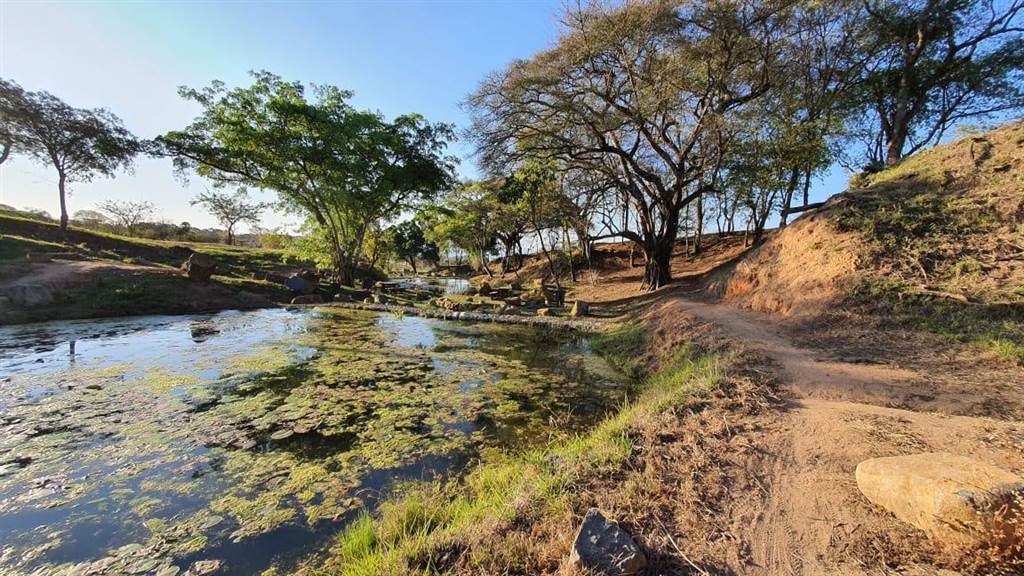 1190 m² Land available in Sonheuwel photo number 7