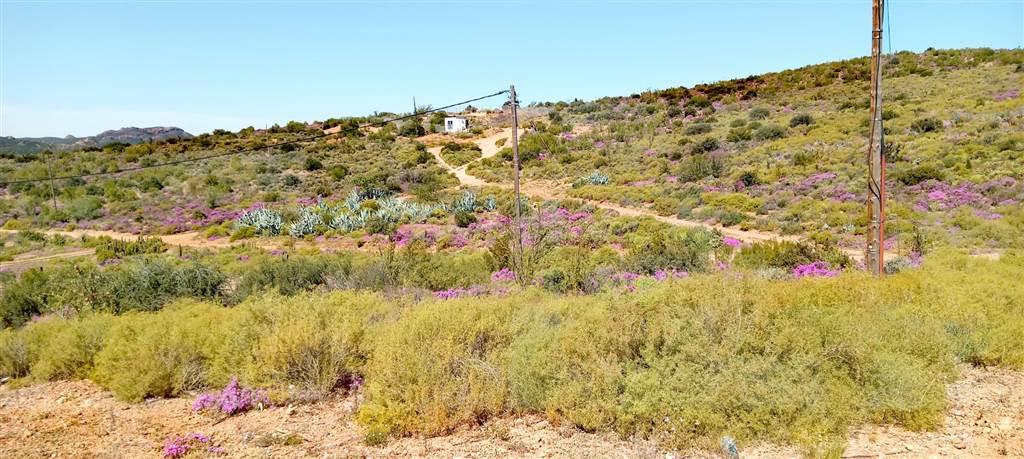 845 m² Land available in De Rust photo number 9