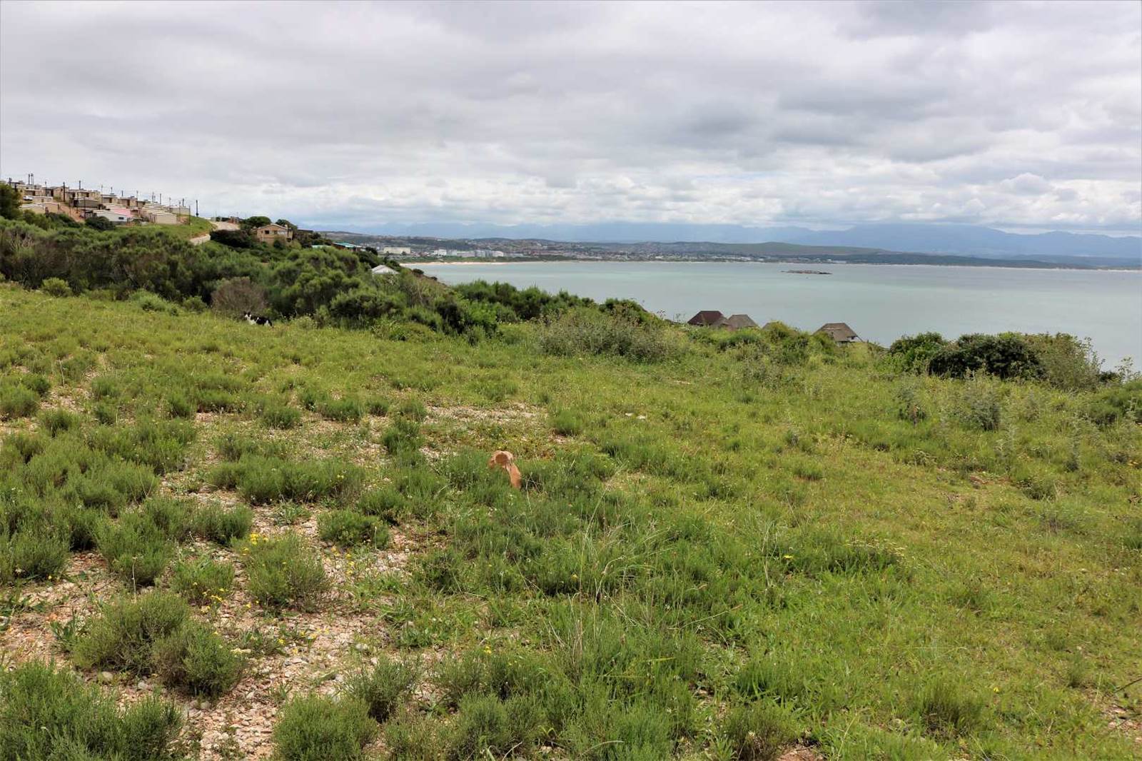 6374 m² Land available in Mossel Bay Central photo number 2