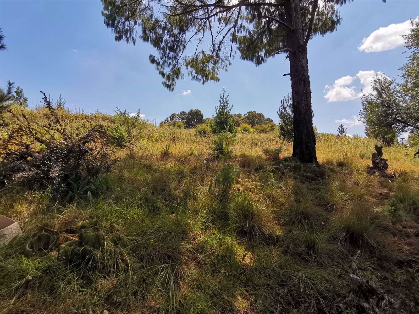 5949 m² Land available in Dullstroom photo number 2