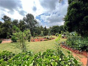 1.1 ha Farm in Bredell AH