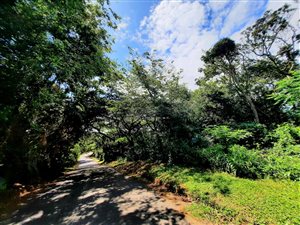 3437 m² Land available in Pumula
