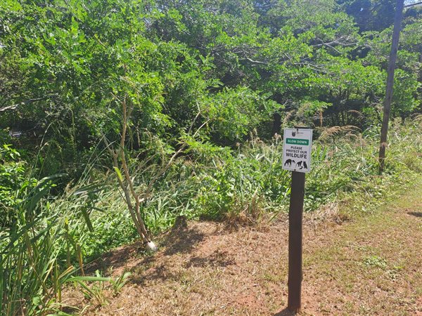1 282 m² Land 1 282 m² Land