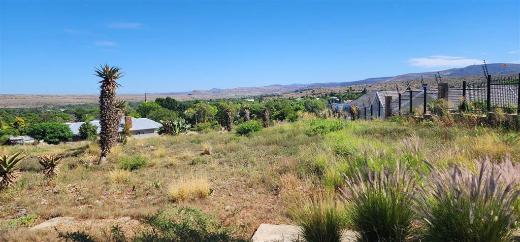 605 m² Land available in Cradock photo number 3