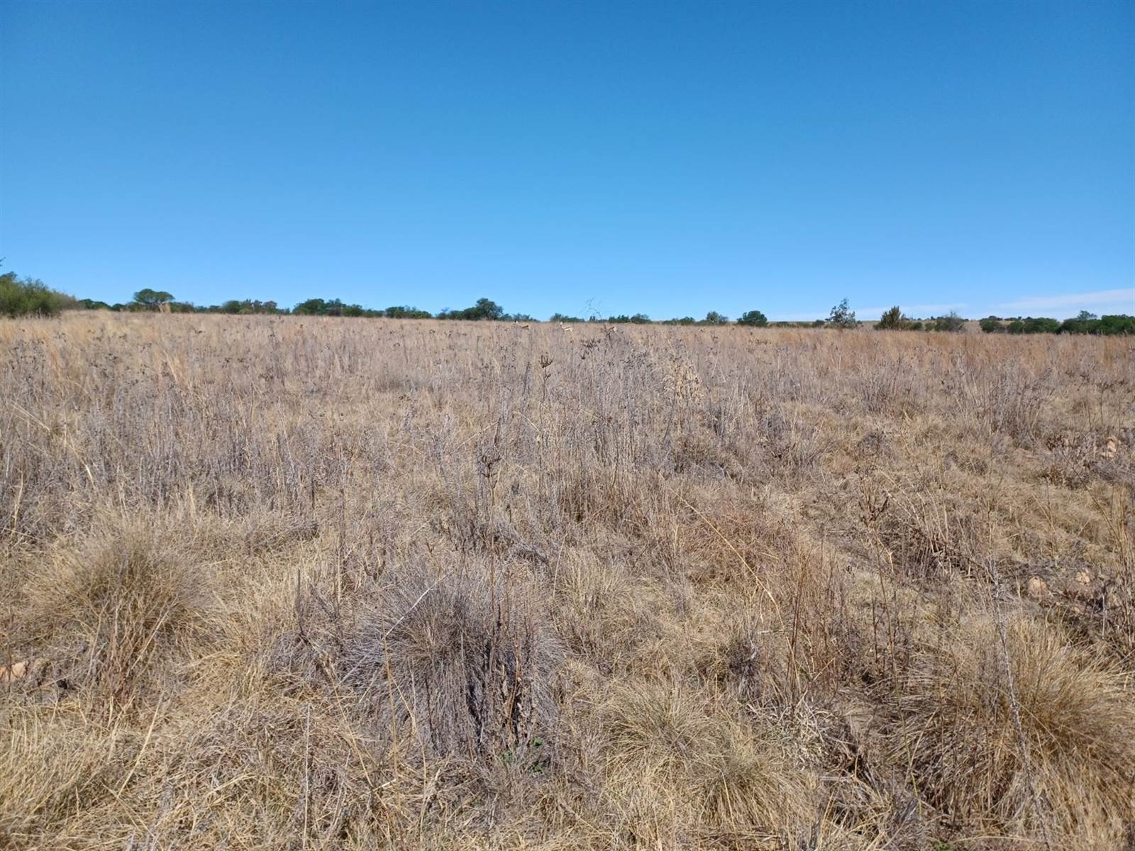 696 m² Land available in Parys Golf Estate photo number 5