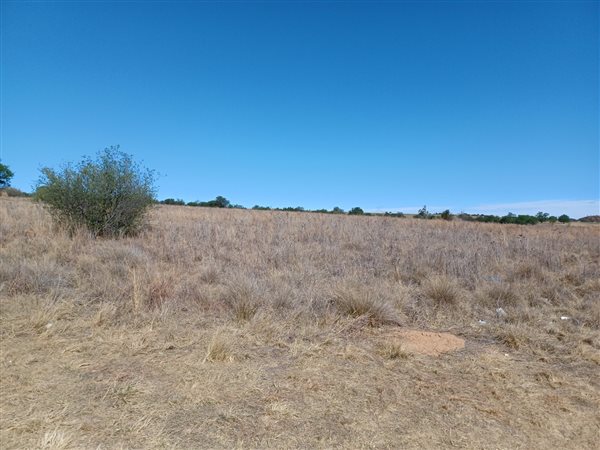 696 m² Land available in Parys Golf Estate