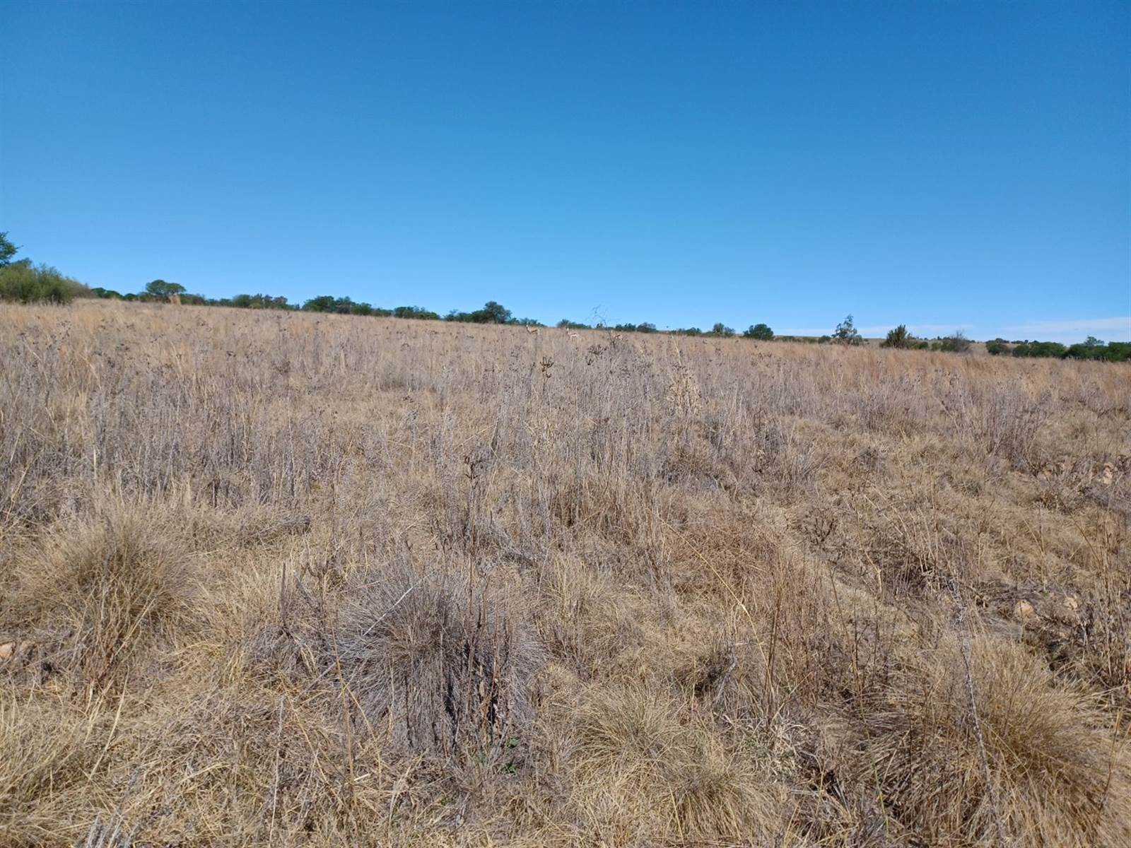 696 m² Land available in Parys Golf Estate photo number 4