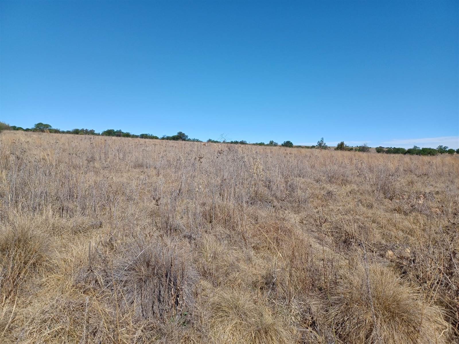 696 m² Land available in Parys Golf Estate photo number 3