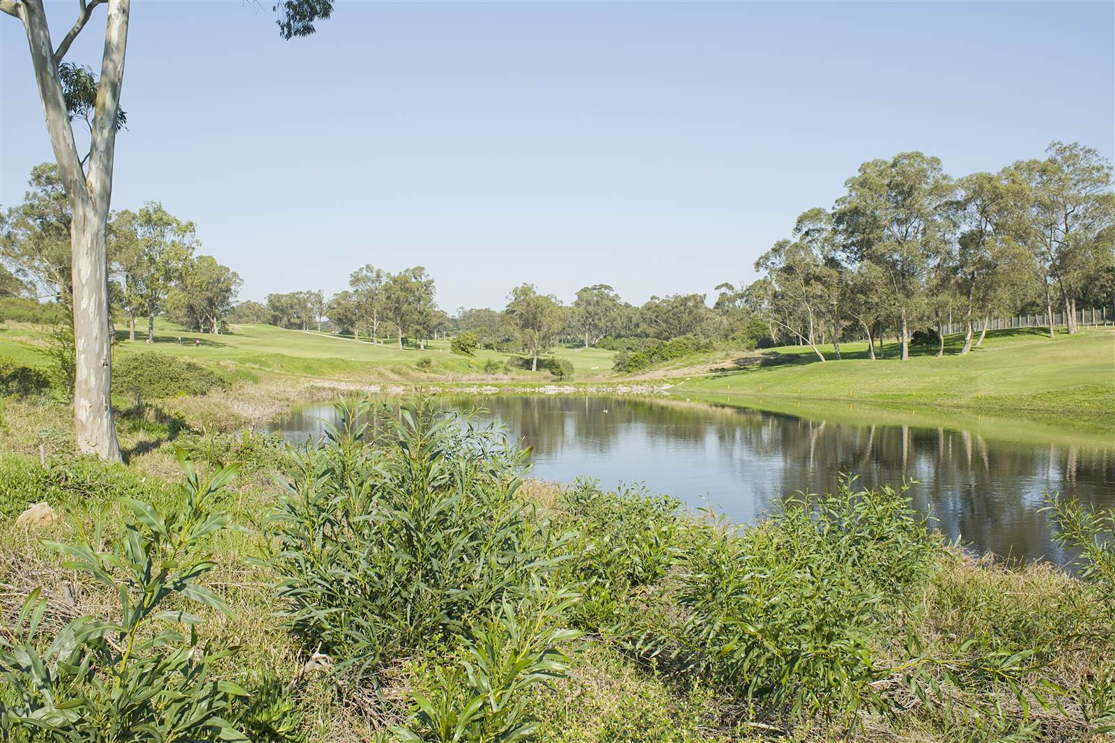 600 m² Land available in Wedgewood Golf Estate photo number 12