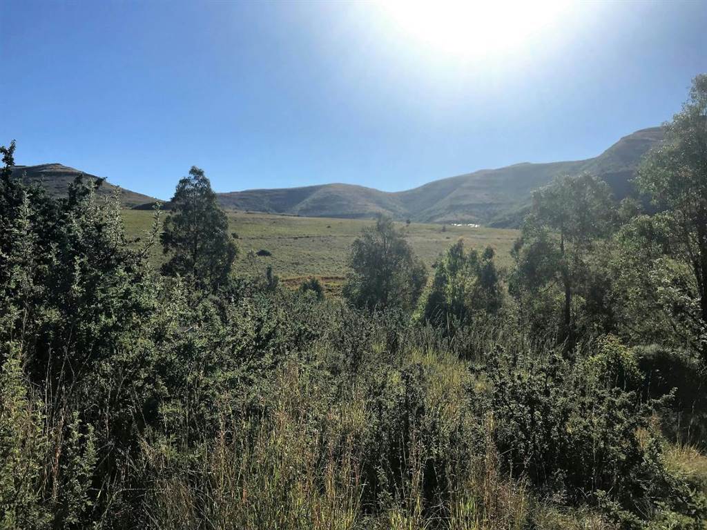 1174 m² Land available in Clarens photo number 2