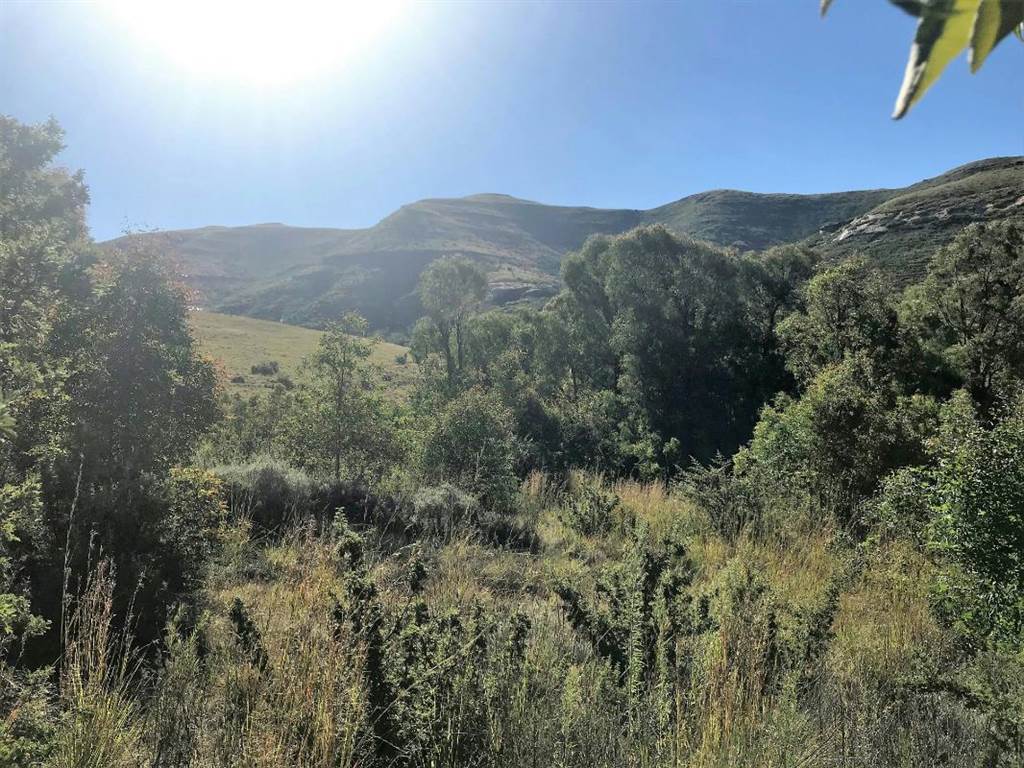1174 m² Land available in Clarens photo number 11