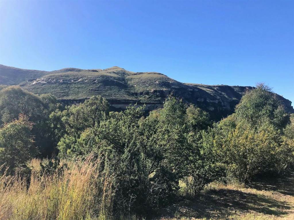 1174 m² Land available in Clarens photo number 4