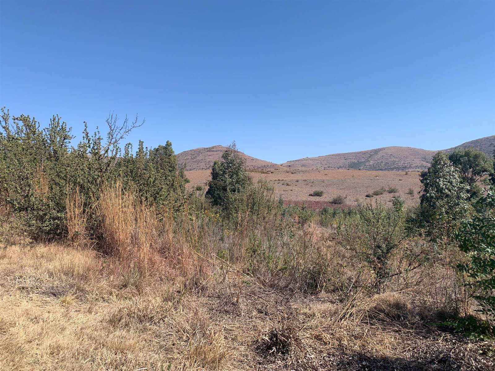 1174 m² Land available in Clarens photo number 6