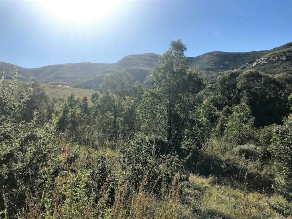 1174 m² Land available in Clarens photo number 5