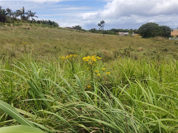 1014 m² Land available in Port Edward