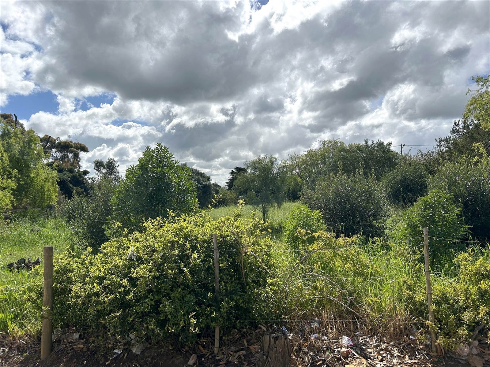 1115 m² Land available in Napier photo number 9
