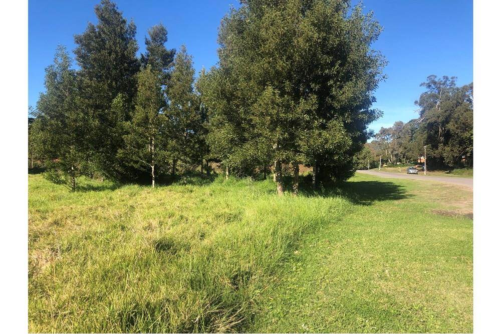 5726 m² Land available in Old Place photo number 8