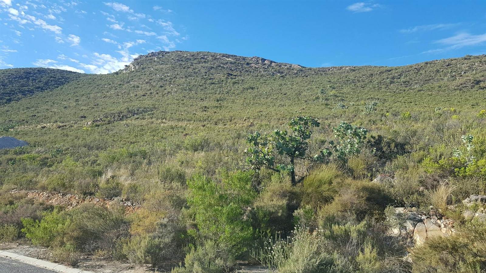 1270 m² Land available in Montagu photo number 3
