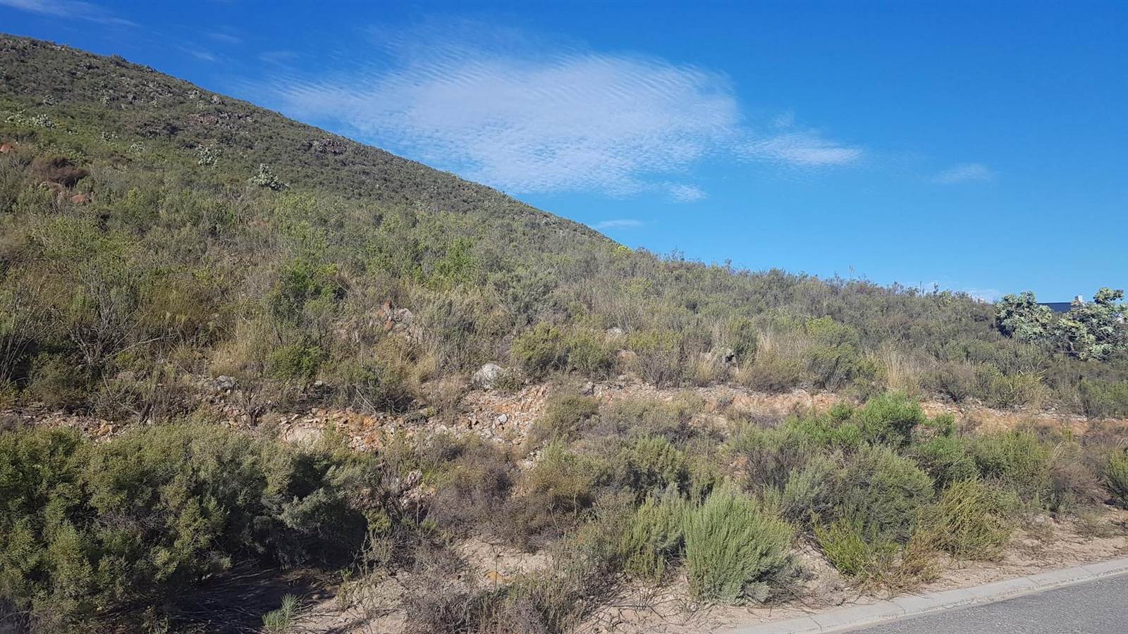 1270 m² Land available in Montagu photo number 2