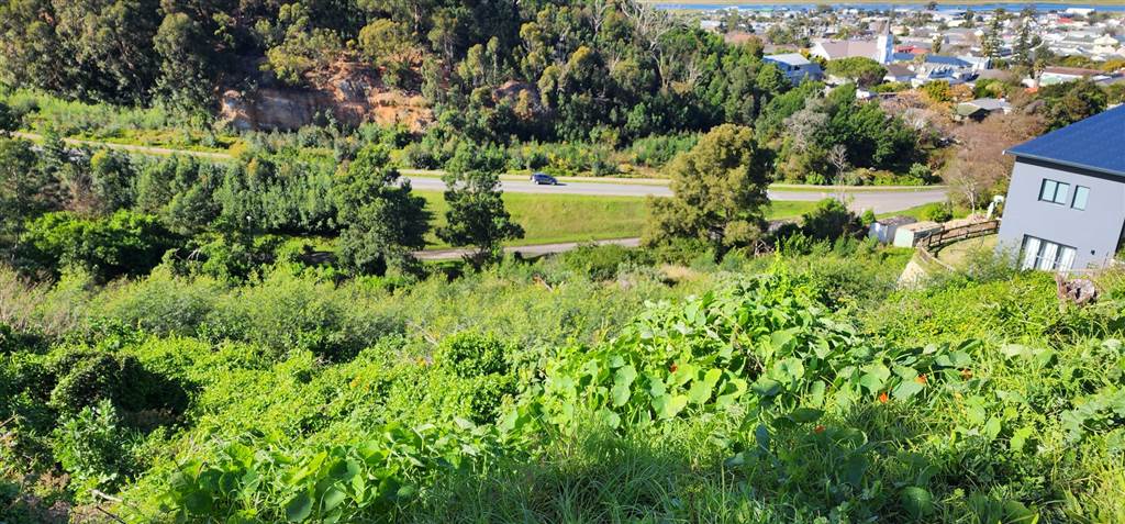 1874 m² Land available in Knysna Central photo number 9
