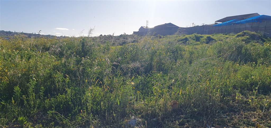 3250 m² Land available in Vredenburg photo number 3