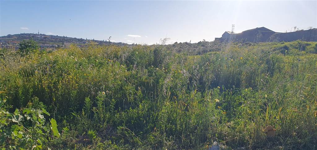 3250 m² Land available in Vredenburg photo number 4
