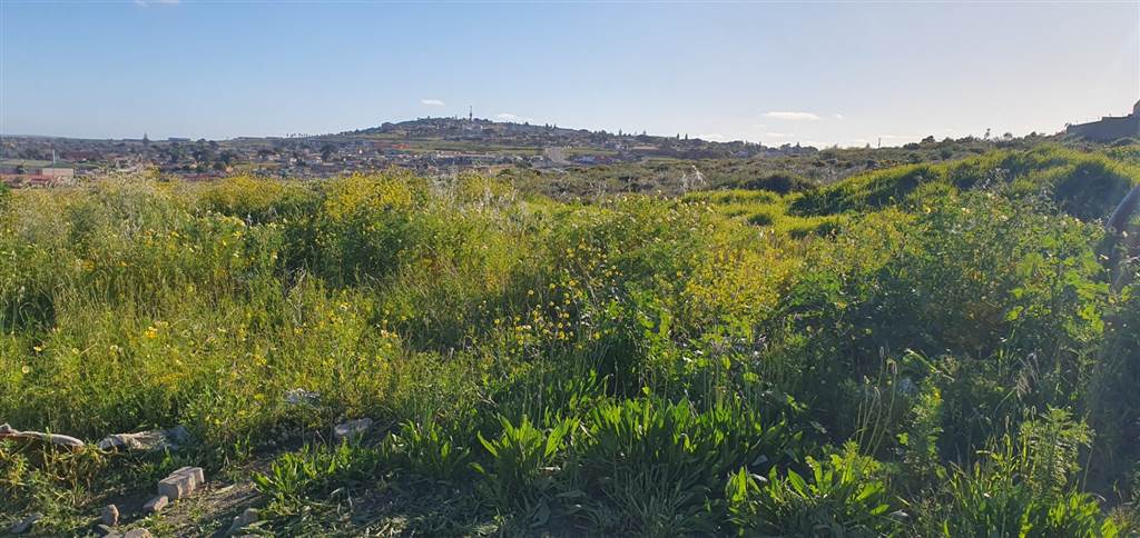3250 m² Land available in Vredenburg photo number 1