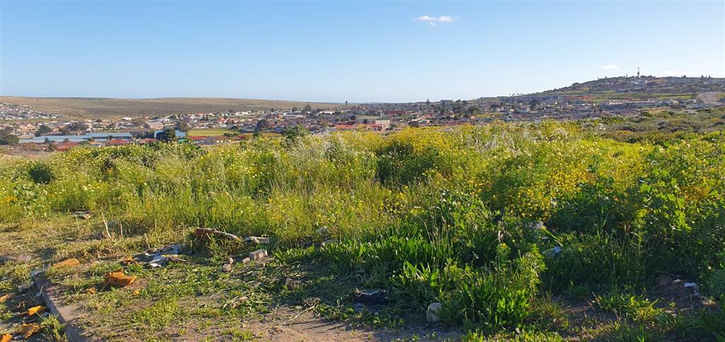 3250 m² Land available in Vredenburg photo number 2
