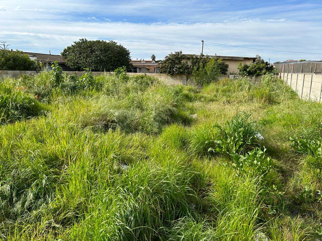 504 m² Land available in Eikendal photo number 7