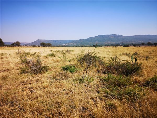 5 ha Land available in Dundee