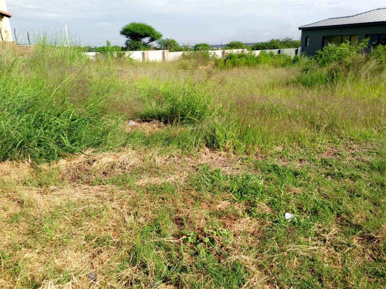 730 m² Land available in Bendor photo number 3