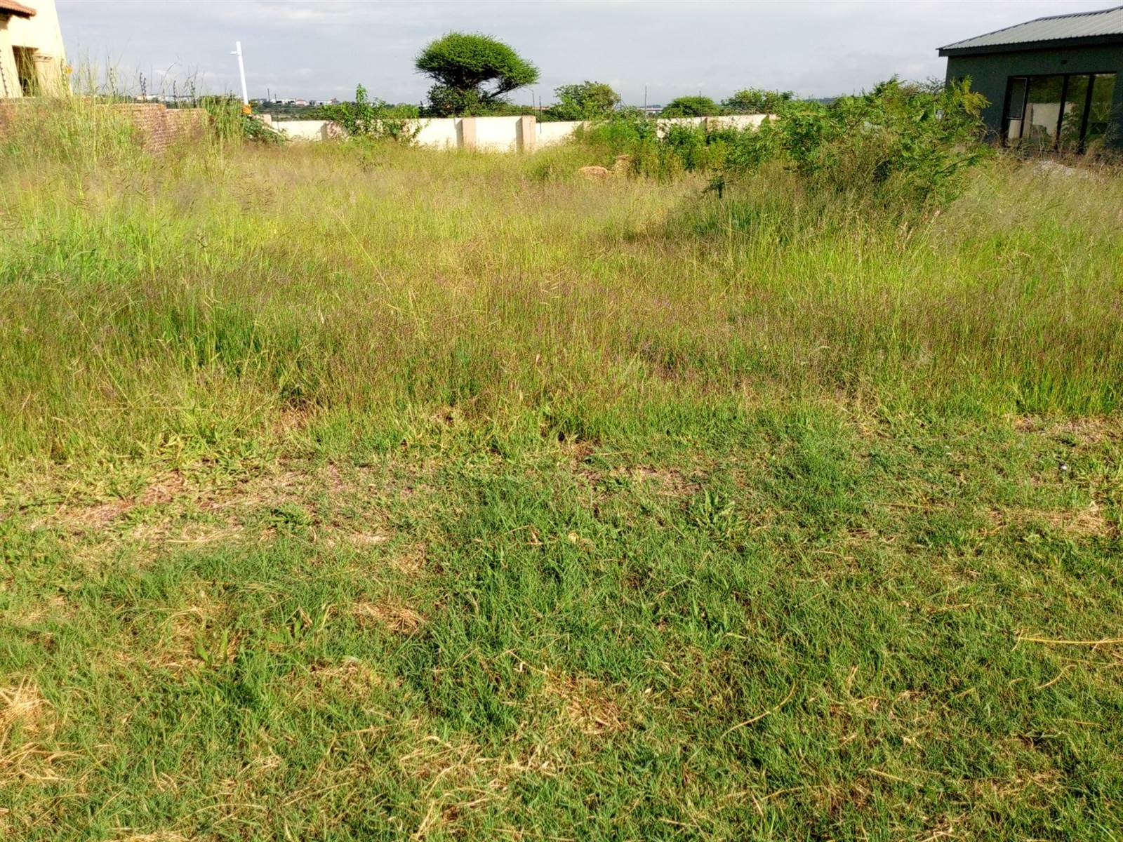 730 m² Land available in Bendor photo number 2