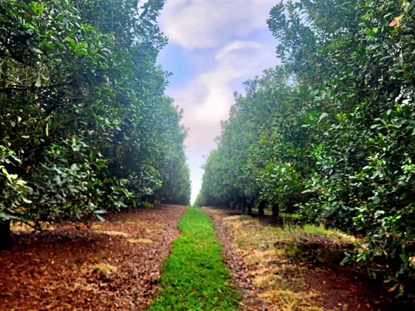 29 ha Farm 29 ha Farm