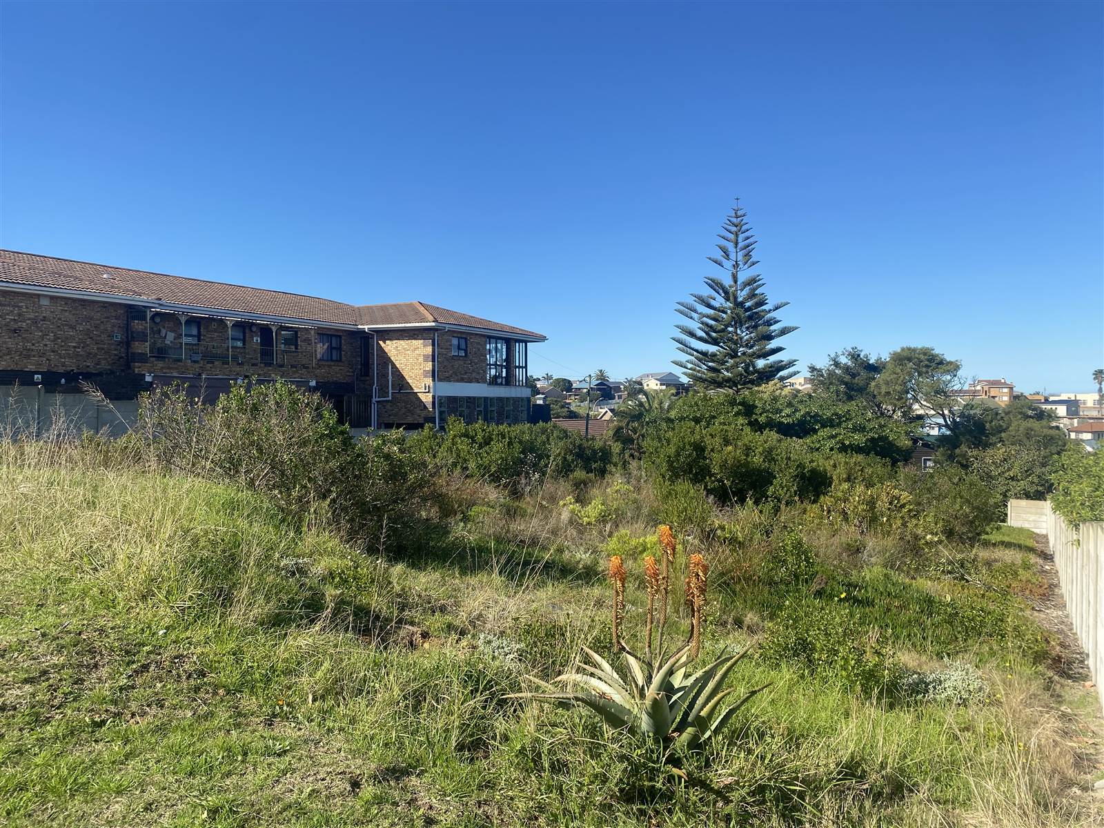 900 m² Land available in Dana Bay photo number 7