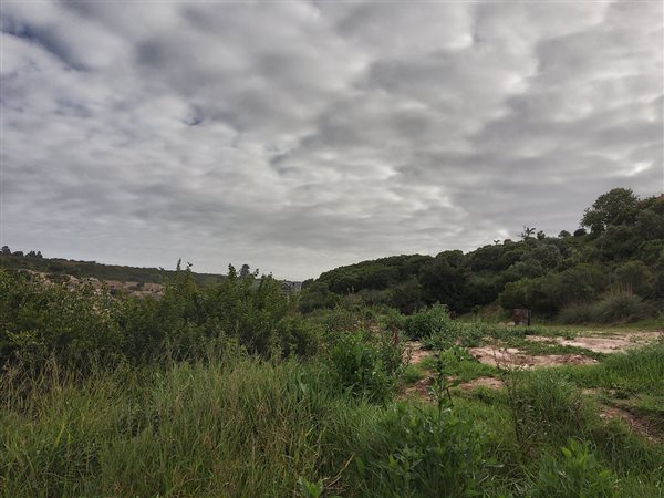 585 m² Land available in Bergsig