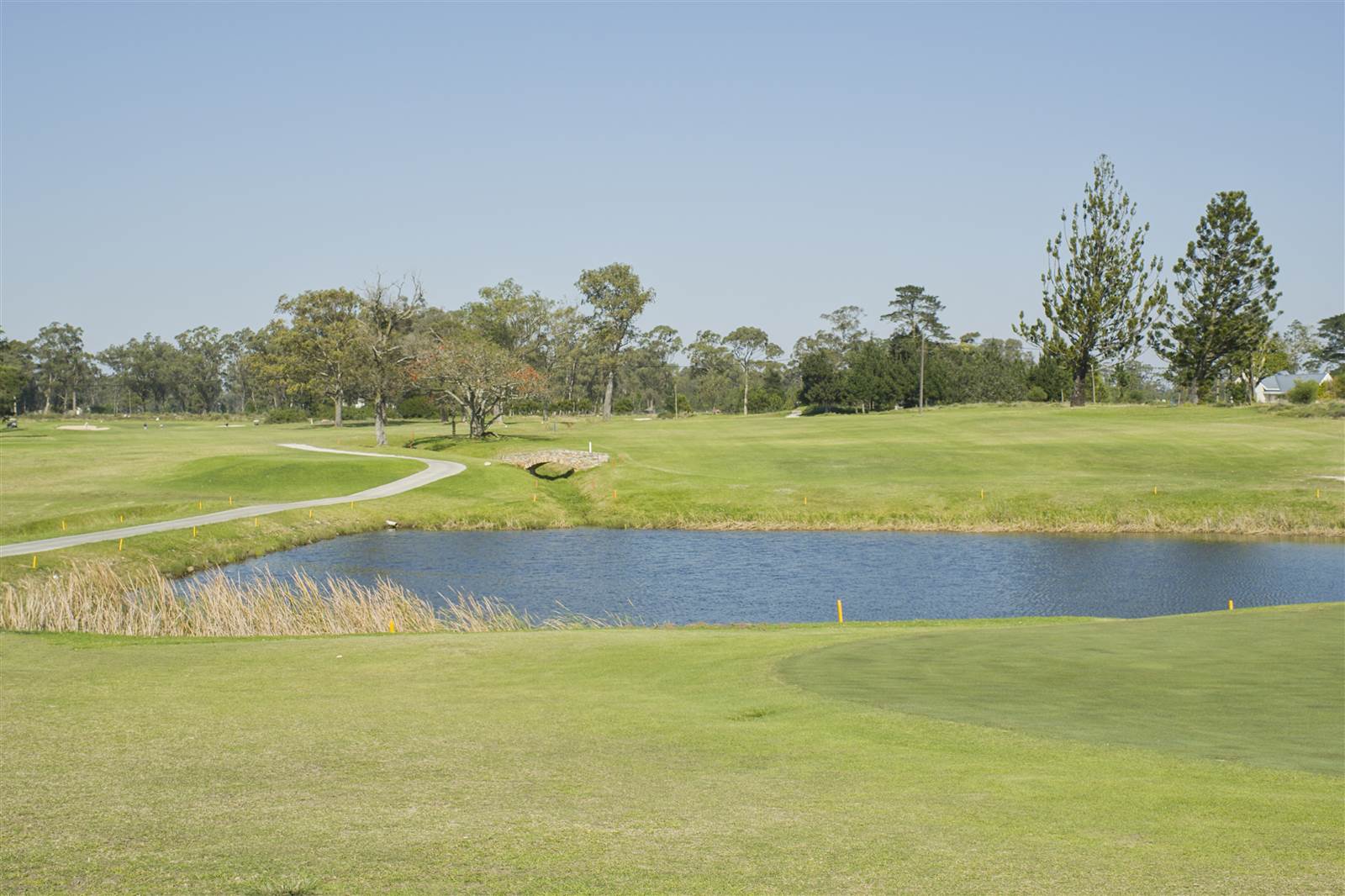 601 m² Land available in Wedgewood Golf Estate photo number 7