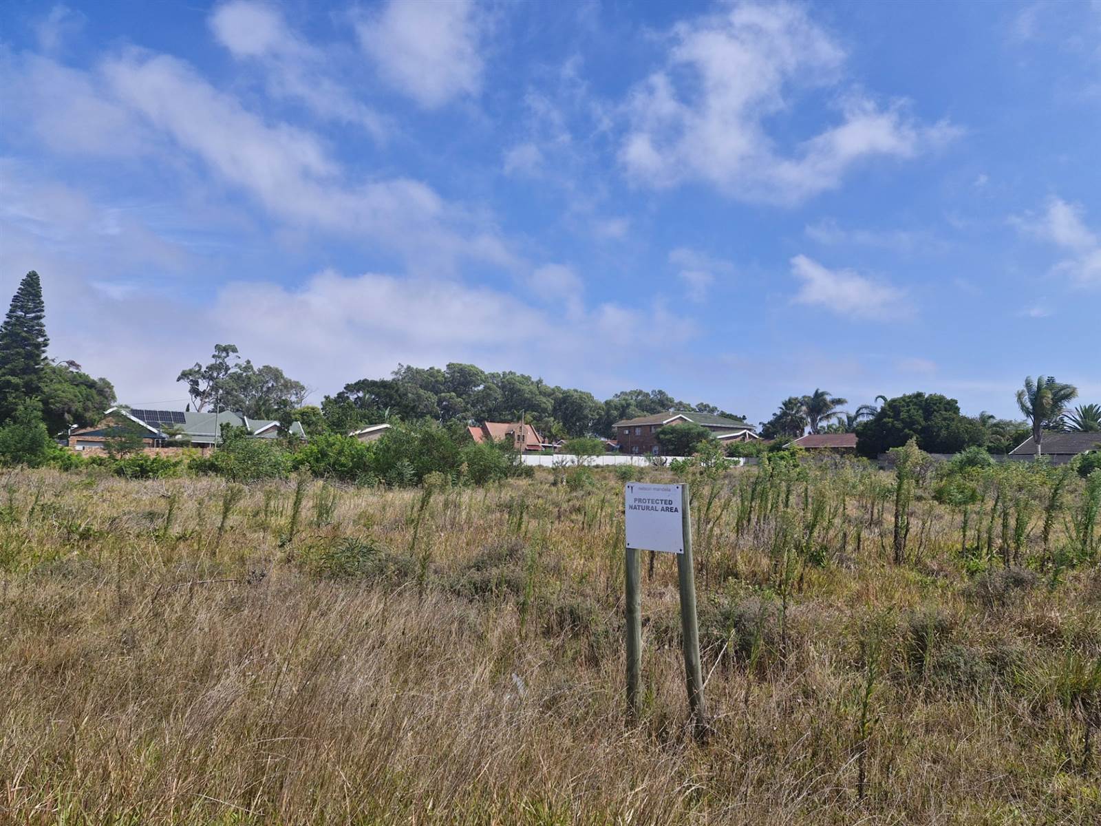 1585 m² Land available in Brymore photo number 6