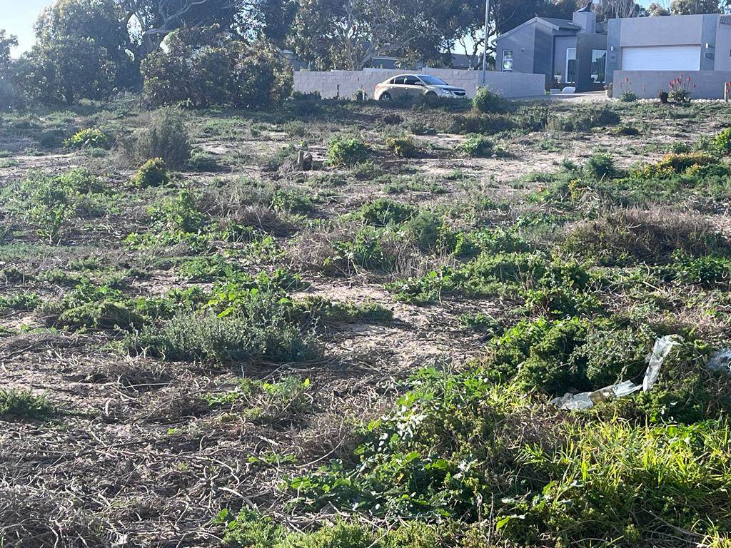 863 m² Land available in Saldanha photo number 3