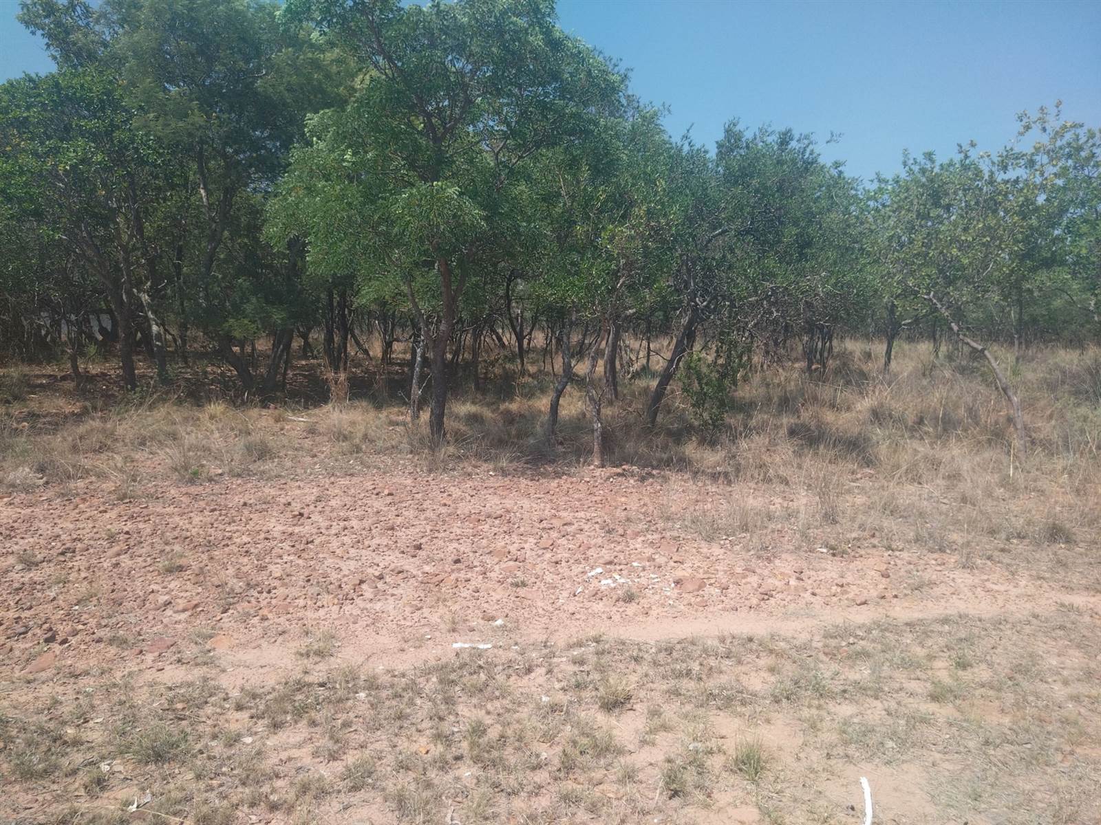 1100 m² Land available in Modimolle photo number 6