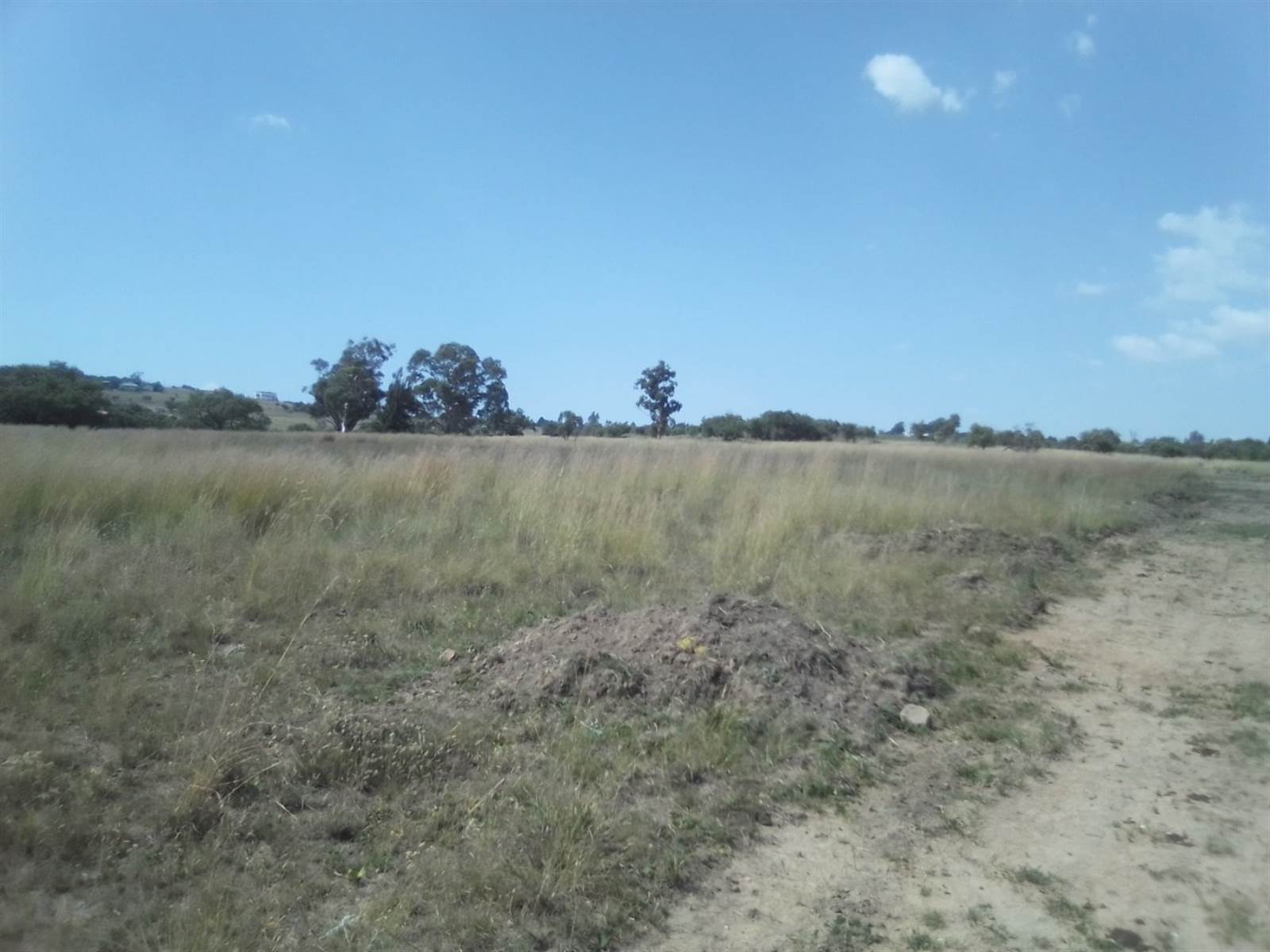 10 ha Land available in Laezonia photo number 3