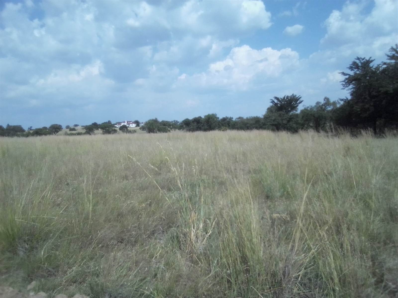 10 ha Land available in Laezonia photo number 10