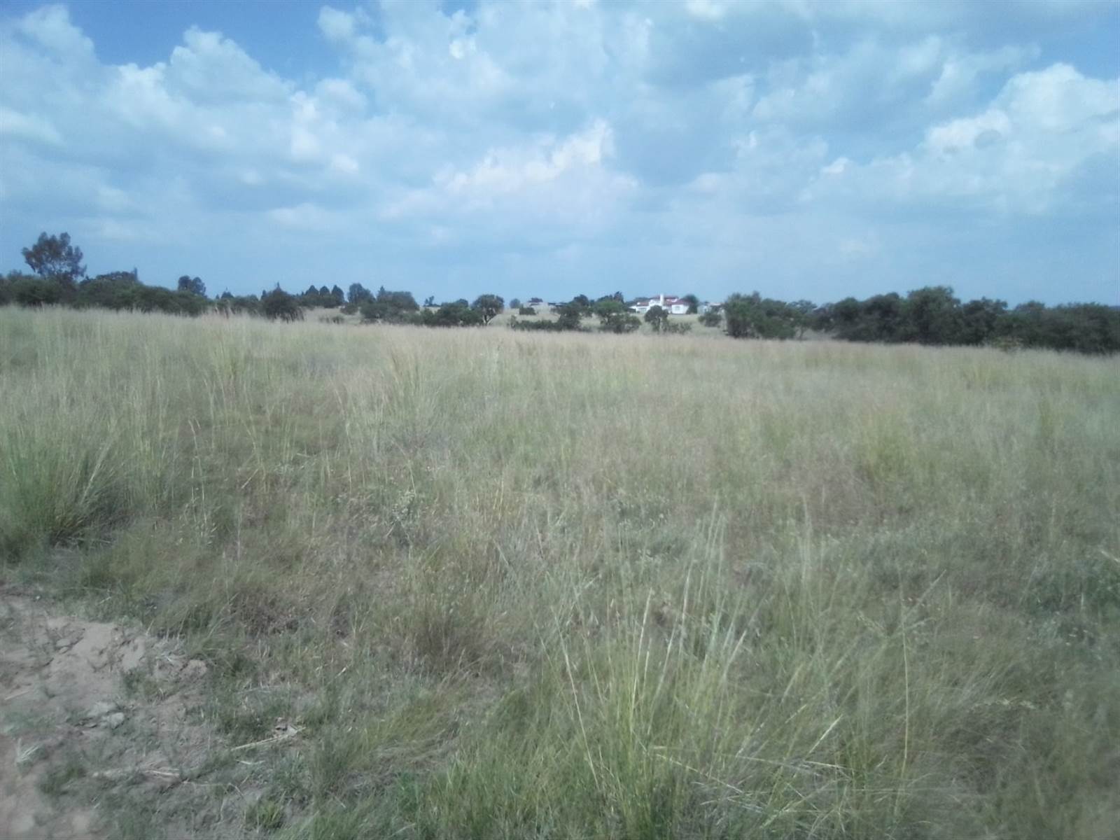 10 ha Land available in Laezonia photo number 12
