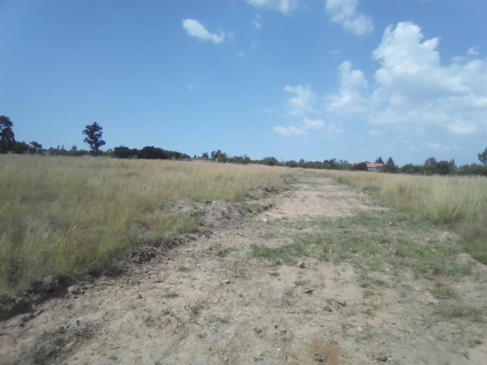 10 ha Land available in Laezonia photo number 9