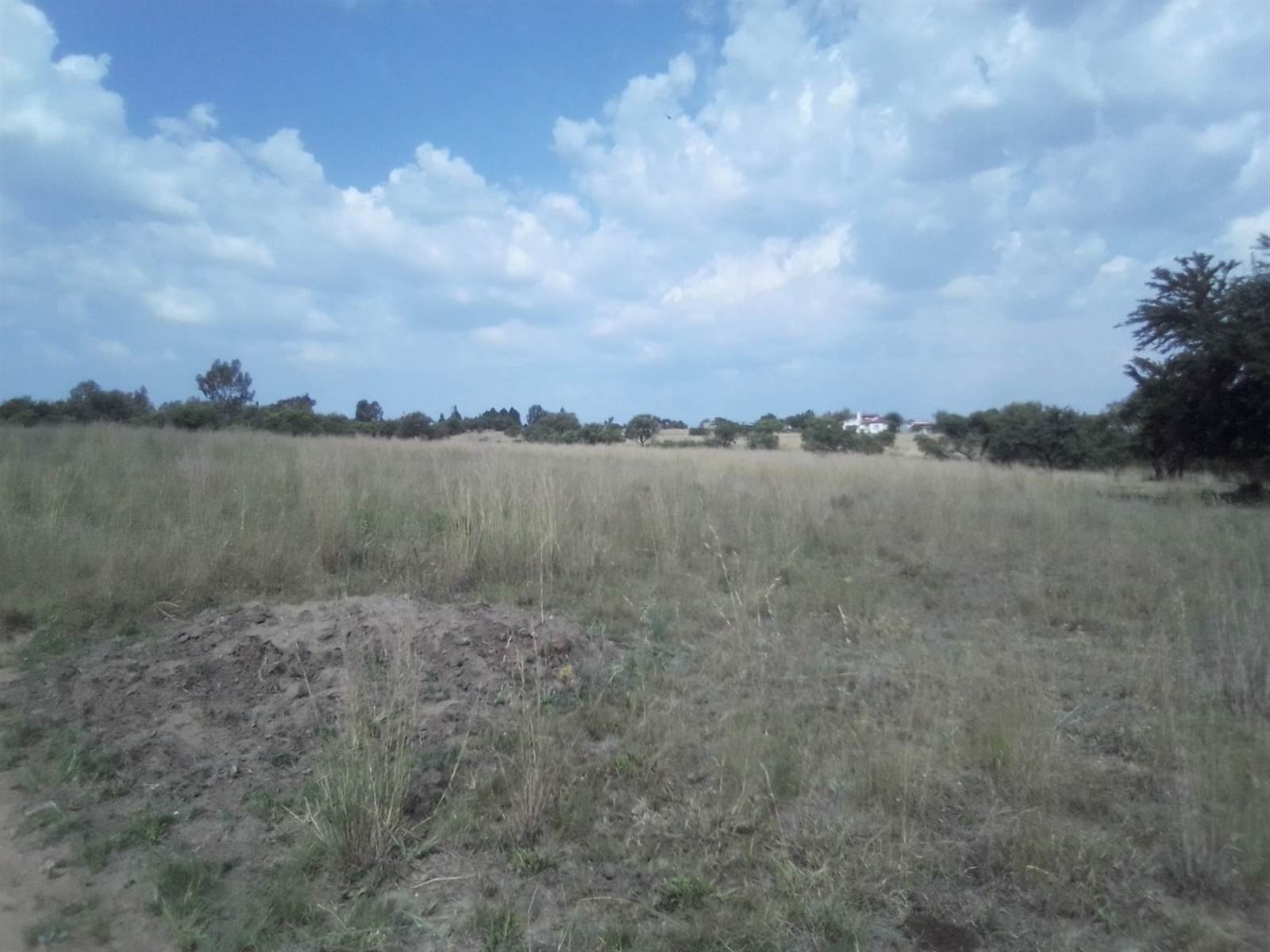 10 ha Land available in Laezonia photo number 5