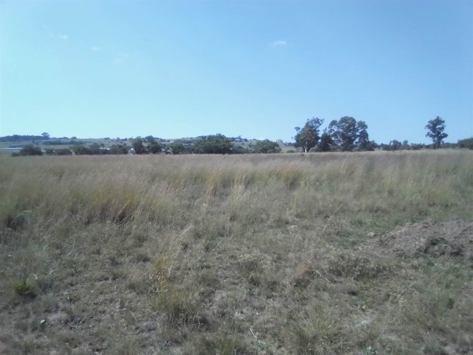10 ha Land available in Laezonia photo number 2
