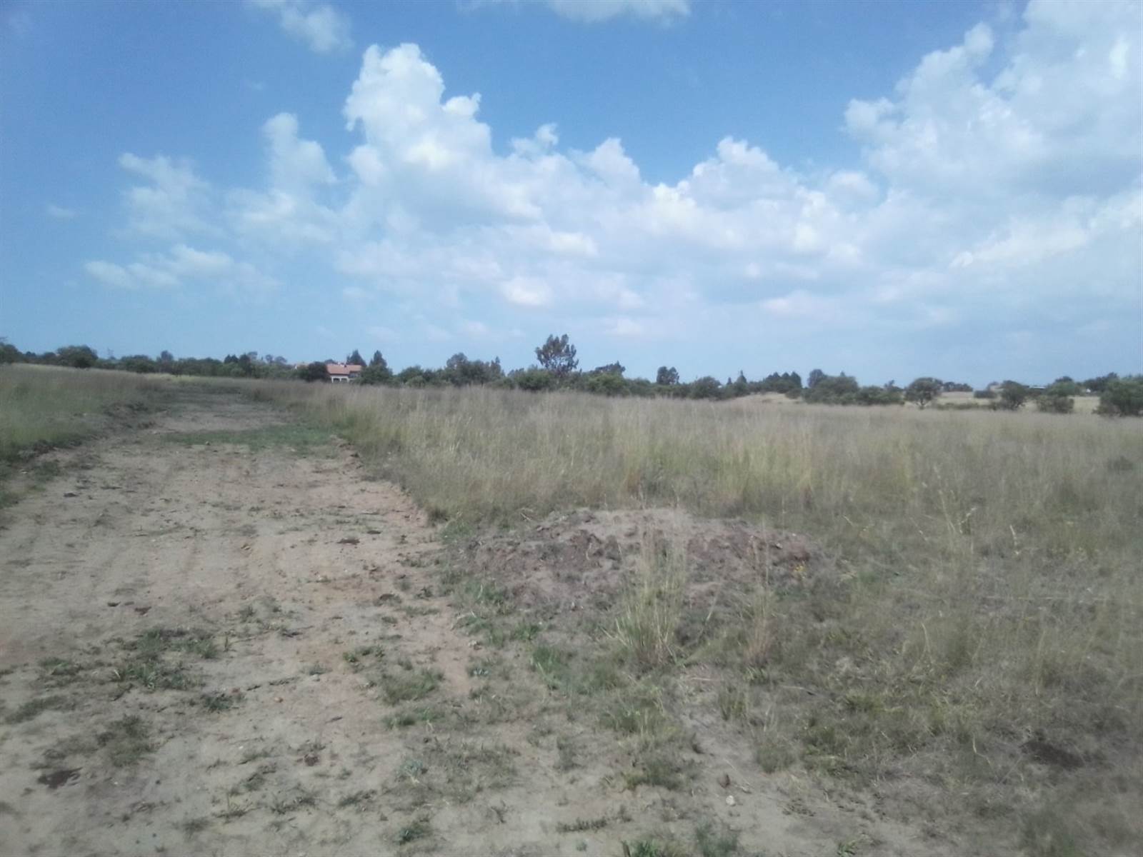10 ha Land available in Laezonia photo number 4
