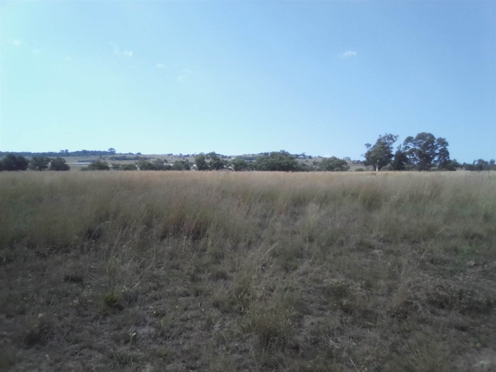 10 ha Land available in Laezonia photo number 1