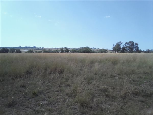 10 ha Land available in Laezonia